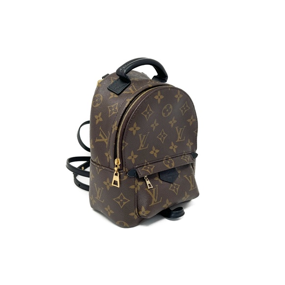 Louis Vuitton Palm Springs Mini Backpack - Picture 2 of 10